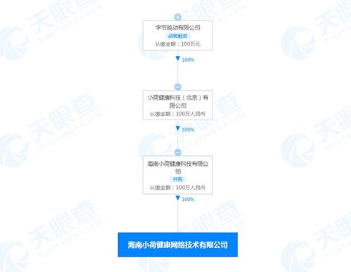 海南小荷健康網絡技術有限公司成立，布局遠程健康管理及網絡文化服務